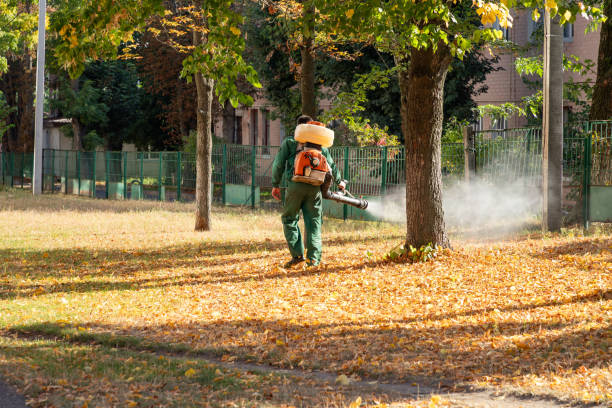 Professional Pest Control in Freer, TX